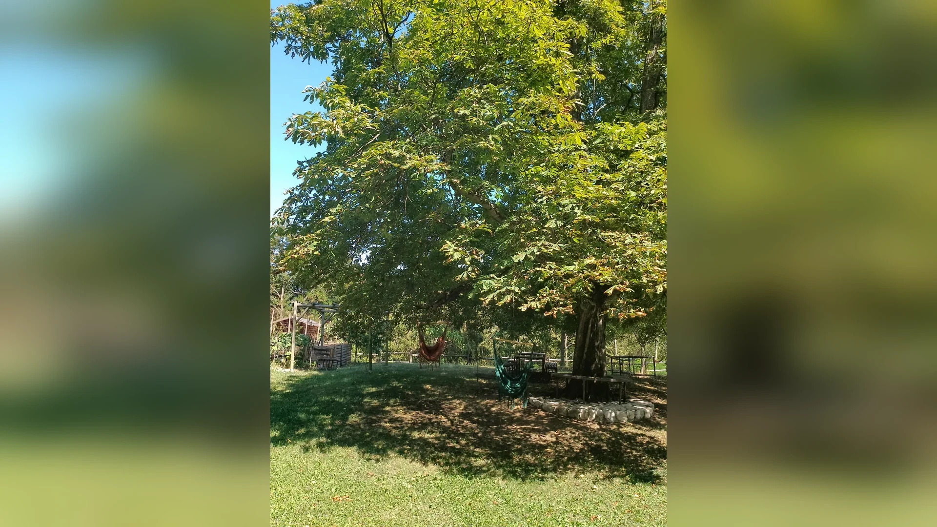 Il giardino di Casa all'Angelo con le amache all'ombra del grande albero